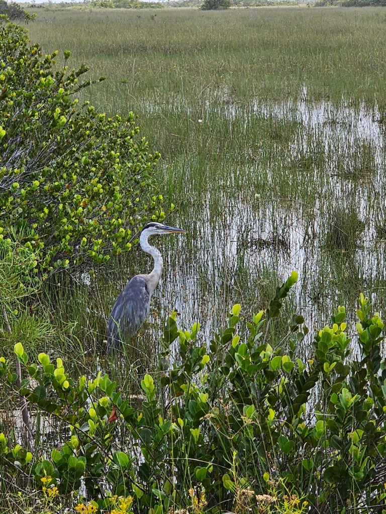 Everglades National Park