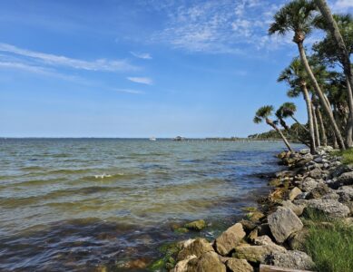 Manatee Hammock Campground