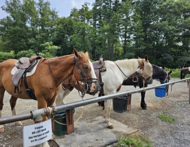 Mount Pocono Campground