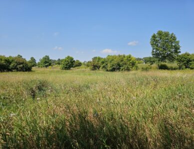 Lake Elmo Park Reserve