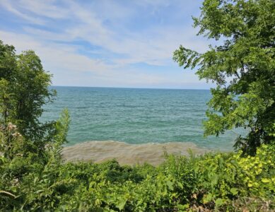 Four Mile Creek State Park