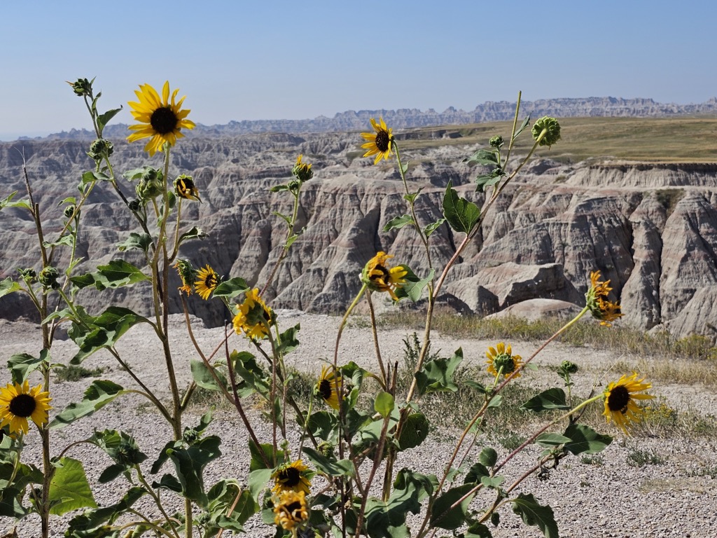 Badlands National Park and Wall Drug