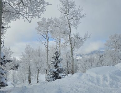 Steamboat Ski Resort