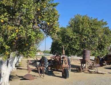 Orange Grove RV Park