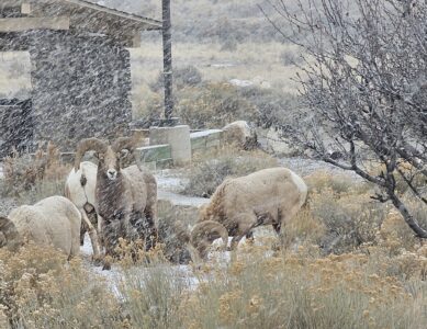 Exploring Taos